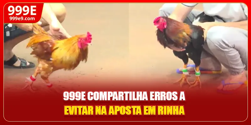 999E compartilha erros a evitar na aposta em rinha