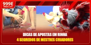 Dicas De Aposta Em Rinha - 4 Segredos De Mestres Criadores