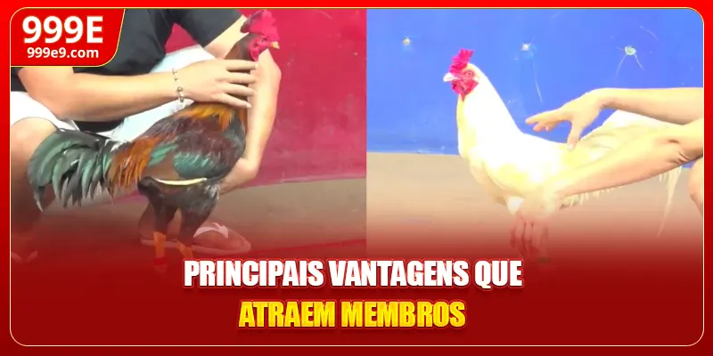 Principais vantagens que atraem membros