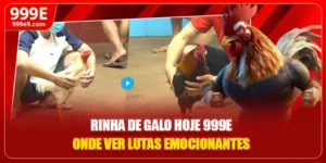 Rinha De Galo Hoje 999E - Onde Ver Lutas Emocionantes