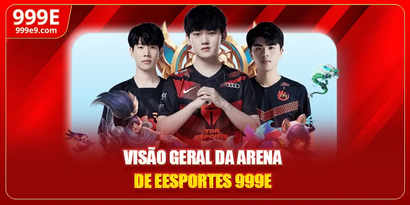 Visão geral da arena de esportes 999E