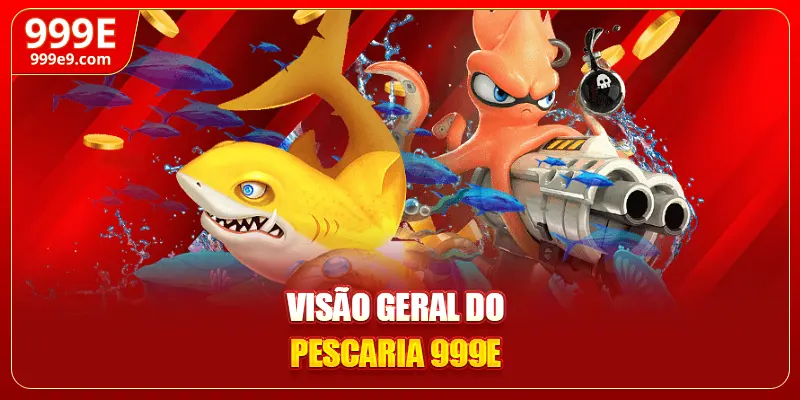 Visão geral do Pescaria 999E